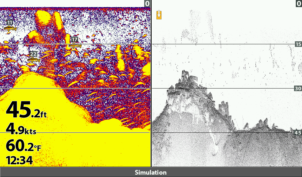 Splitscreen sonar view with 2d scan on the left and downscan on the right